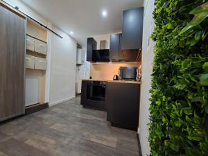 una cocina con electrodomésticos negros y una pared verde en L'elegant hyper centre, en Dunkerque 9 fotos más