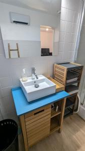 a bathroom with a sink and a mirror at Le Plein Sud - Carqueiranne in Carqueiranne