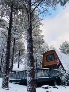 Grand Canyon Cabin! One hour and 10 minutes to the South Entrance! v zimě