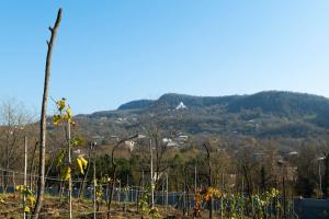 Φωτογραφία από το άλμπουμ του Sunrise Gelati σε Gelat'i