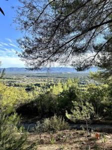a view of the desert from a tree at Les Ribas in Le Cannet-des-Maures