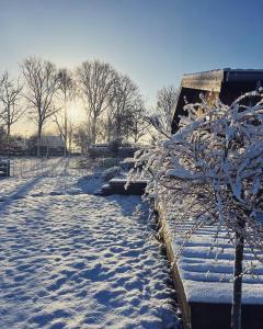 Buitenlede 7 - Suite M v zimě + 3 fotografie