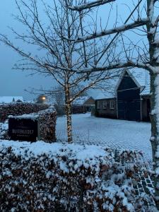 Buitenlede 7 - Suite M v zimě