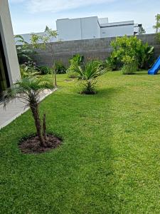 een kleine palmboom in het midden van een tuin bij La Aldeana in Gualeguaychú