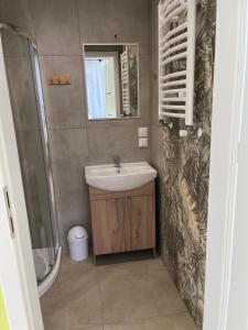 a bathroom with a sink and a shower and a mirror at Pokoje Gościnne in Ujsoły +36 photos