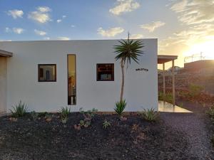 una casa blanca con una palmera delante en Palacio Eco, en Tinajo