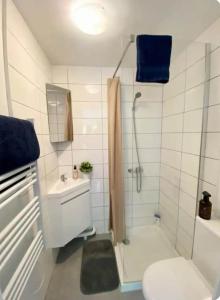 ein Badezimmer mit Dusche, Toilette und Waschbecken in der Unterkunft Entire apartment in Auxerre in Auxerre
