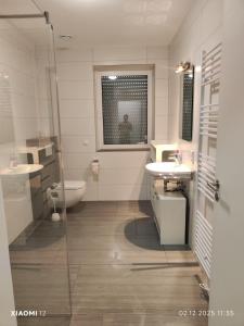 a bathroom with a toilet and a sink and a shower at Fe-Wo Varenrode in Spelle