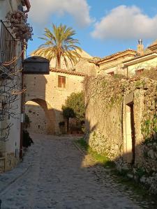 un callejón con una palmera y un edificio en Casa Daniele, en Gerace