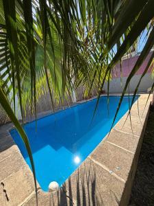 a blue swimming pool with a palm tree at Natural Hostel Colon in Colón