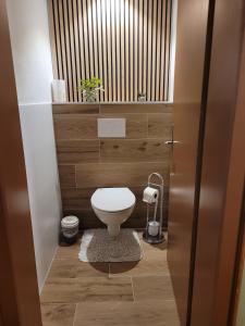 a small bathroom with a toilet and a window at Fewo Alpenrose in Nesselwängle +32 photos