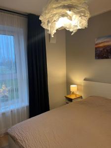 Riga Riverside Escape Lucavsala, Close to City Center في ريغا: غرفة نوم بسرير ونافذة وثريا +14 صورة
