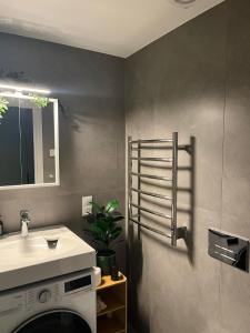 Riga Riverside Escape Lucavsala, Close to City Center في ريغا: حمام مع حوض ومرآة وغسالة ملابس