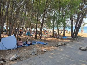un gruppo di persone sedute su una coperta accanto a una spiaggia di Apartments Lora a Vir (Puntadura) Altre 95 foto