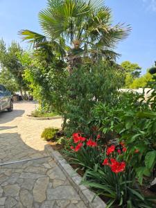 un giardino con fiori rossi e una palma di Apartments Lora a Vir (Puntadura)