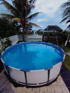 una grande piscina blu e bianca con una palma di La Cabana de Isaac Boquilla a Cartagena de Indias