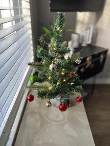 Fotografie z fotogalerie ubytování #StayinMyDistrict Historic Apartment Near Downtown v destinaci Coos Bay