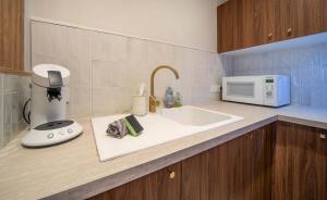 Una encimera de cocina con fregadero y microondas. en Le Splendide, en Mâcon 2 fotos más