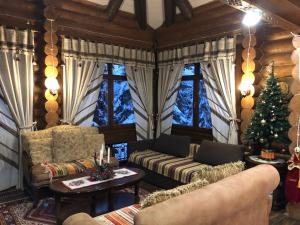a living room with a christmas tree and a couch at Guta Weekend in Guta +48 photos
