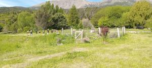 Phong cảnh thiên nhiên gần nhà gỗ