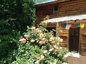 Vườn quanh Claro deseo