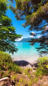 una vista di una spiaggia tra due alberi di Gemütliche Ferienwohnung am Kochelsee a Schlehdorf