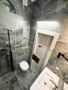 ein Badezimmer mit Toilette und Waschbecken in der Unterkunft Irooms770-Mamad downstairs in Haifa + 13 Fotos