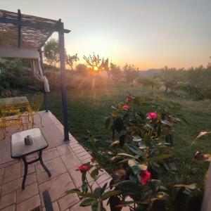 Country Studio Apartment في Elice: فناء مع حديقة مليئة بالورود وغروب الشمس