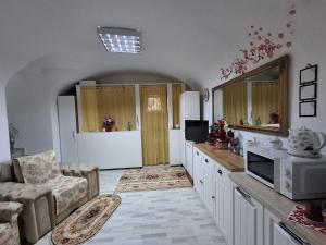 eine Küche mit Kühlschrank sowie eine Couch und ein Sessel in der Unterkunft Ultracentral STUDIO Koket in Arad