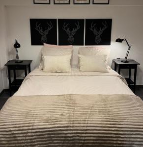 ein Schlafzimmer mit einem großen Bett und zwei Nachttischen in der Unterkunft Sand & Chill - Appartement 55R in Rouffach