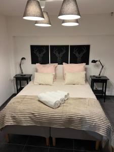 ein Schlafzimmer mit einem großen Bett mit zwei Lampen in der Unterkunft Sand & Chill - Appartement 55R in Rouffach