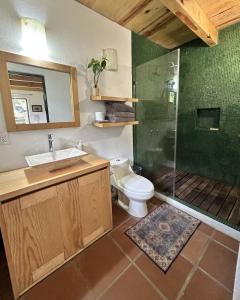 a bathroom with a toilet and a shower and a sink at Rancho el Capricho in Valle de Bravo +37 photos