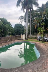 Φωτογραφία από το άλμπουμ του Palm View σε White River