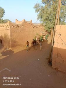 Φωτογραφία από το άλμπουμ του Daraa Valley House σε Mhamid