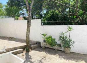 Κήπος έξω από το The Colombo House