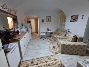 eine Küche und ein Wohnzimmer mit einer Couch und einem Tisch in der Unterkunft Ultracentral STUDIO Koket in Arad