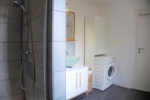 Vacation home with a view of nature, home theater, fireplace في Greifenstein: حمام مع دش وغسالة ملابس