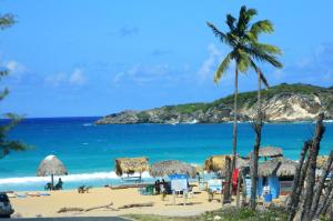 蓬塔卡纳DREAM ISLAND studios & apartments with POOL Playa LOS CORALES的有椅子、遮阳伞和大海的海滩