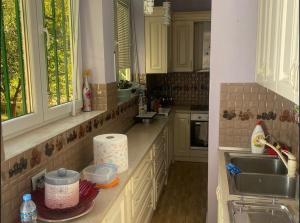 Η κουζίνα ή μικρή κουζίνα στο Preni Suites +2 φωτογραφίες