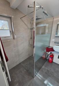 ein Badezimmer mit Glasdusche und Waschbecken in der Unterkunft Ferienhaus Kammblick in Schwarzhausen