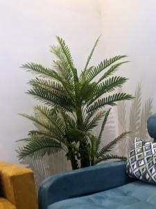 Φωτογραφία από το άλμπουμ του Kingdom villa hotel στο Κιγκάλι