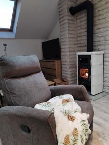 ein Wohnzimmer mit Couch und Kamin in der Unterkunft ForRest Spa Apartment - Private Jacuzzi & Sauna in Ravna Gora