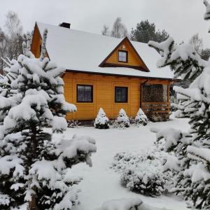 a cabin in the snow with snow covered trees at Jałowcowe Zacisze  +10 photos