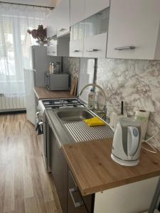 eine Küche mit Spüle und Arbeitsplatte in der Unterkunft Pokoje Gościnne in Ujsoły