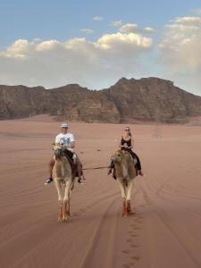 Zvířata v kempu nebo okolí