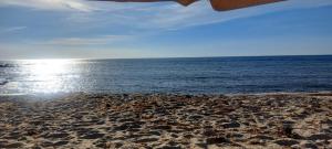 a sandy beach with the ocean in the background at Afife Beach Apartment in Afife +10 photos