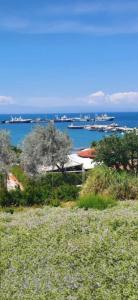 vista sull'oceano con barche in acqua di Oasis Room's a Néa Michanióna