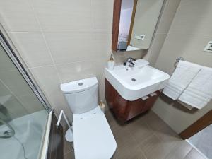 a bathroom with a toilet and a sink and a shower at Doña Urraca in Porriño