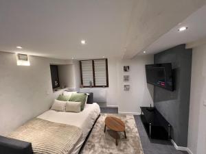 a living room with a couch and a tv at Sand & Chill - Studio 37R in Rouffach