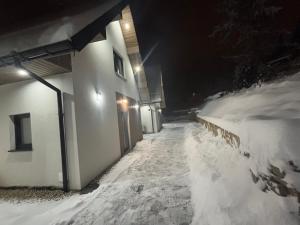 Το Rusiński Raj - Domki τον χειμώνα +2 φωτογραφίες